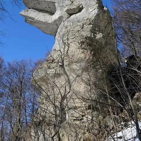 펜션 Tiny House Ithblick Direkt Am