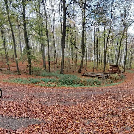 Tiny House Ithblick Direkt Am * Salzhemmendorf