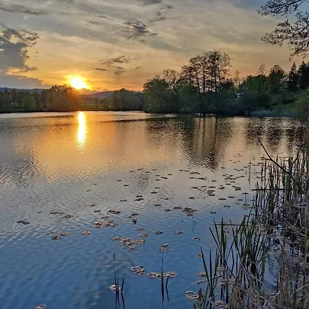 Tiny House Ithblick Direkt Am 펜션